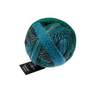 Zauberball Stärke 6 Cool Botanical Garden Inspiration Kieran Foley 2542