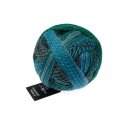 Zauberball Stärke 6 Cool Botanical Garden...