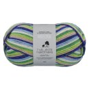 Novita 7 Brothers Raita 975 Finnischer Bogen