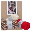 Novita Sock Kit Christmas Sock