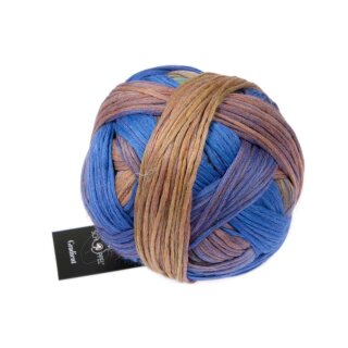 Gradient Frühaufsteher 2623