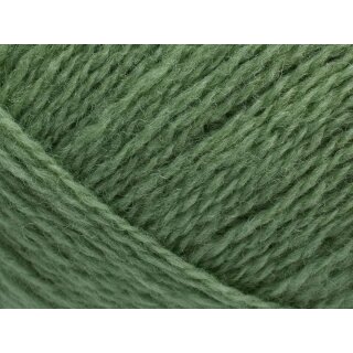 Saga 123 Lichen
