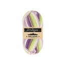 Arcadia 919 Striped Kelp