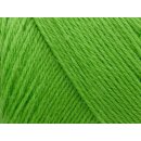 Arwetta classic 250 Disco Green