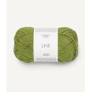 Line 9564 Matcha