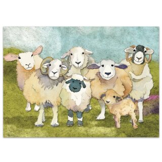 Postkarte "Felted Sheep"