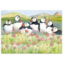 Postkarte "Sea Thrift Puffins"