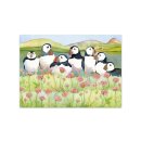 Postkarte "Seathrift Puffins"