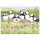 Postkarte "Sea Thrift Puffins"