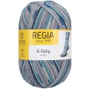 Regia 6-fädig color 150g 4900