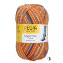 Regia 6-fädig color 150g 4902