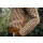 Vorbestellung zum 08.August 2025! "Field Notes: 20 Textured Knits for Everyday Beauty  - by Olga Putano