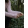 Vorbestellung zum 08.August 2025! "Field Notes: 20 Textured Knits for Everyday Beauty  - by Olga Putano