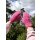 GLORIA GLOVES