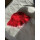 HOLLY HAT