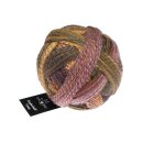 Zauberball Crazy Gegenlicht 2692