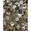 Petite Knit "Perlmuttknöpfe" - 15mm 6 Stck