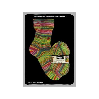 Opal "Nach Hundertwasser" Sockenwolle 4056