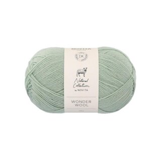 Novita Wonder Wool DK 308 jade