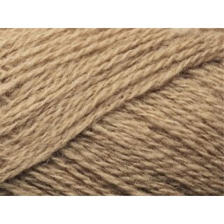 Saga 364 Chai