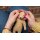 "Chez Myrtil: More Seamless Friends to Knit and Love" by Cinthia Vallet