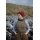 Vorbestellung! "Shetland Shades: Stories in Wool" by Gudrun Johnston