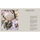 "Dreamy Knits - Traumhafte Strickprojekte aus Skandinavien"