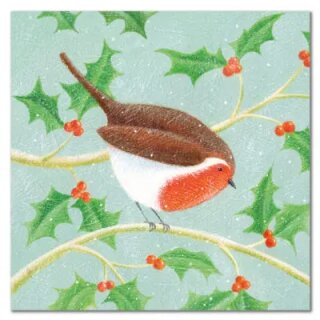 Karte "Robin and Holly" 6Stk
