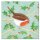 Karte "Robin and Holly" 6Stk