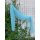 Anleitung "Florabelle Scarf" gedruckt