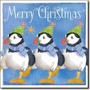 Karte "Dancing Puffins" 6Stk