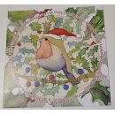 Karte "Robin & Holly" 6Stk