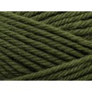 Peruvian Highland Wool 221 Thyme
