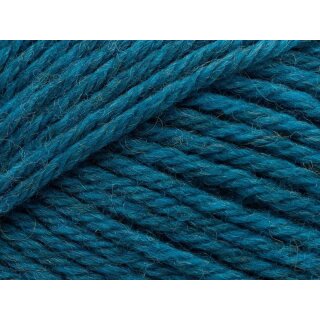 Peruvian Highland Wool 811 Caribbean Sea melange-