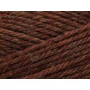 Peruvian Highland Wool 817 Cinnamon melange