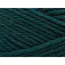 Peruvian Highland Wool 801 Sea Green (melange)