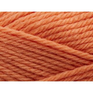 Peruvian Highland Wool 254 Coral