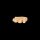 Knopf "Holz" 18mm Hand