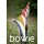 Strickpackung "Bowie"