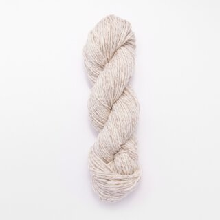 Cliffs of Moher Sandstone