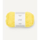 Line 9004 Lemon