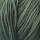 Woolia 866 Dark Fern