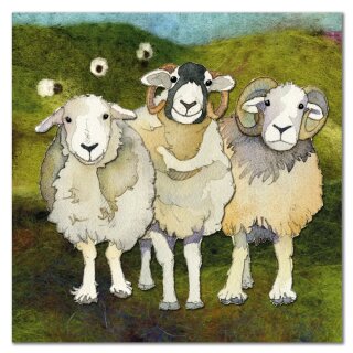 Karte "Three felted Sheep" FT02