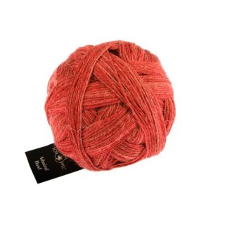 Roter Pfeffer 2443
