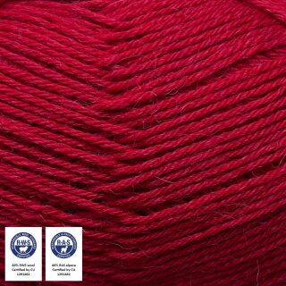 1454 Rot