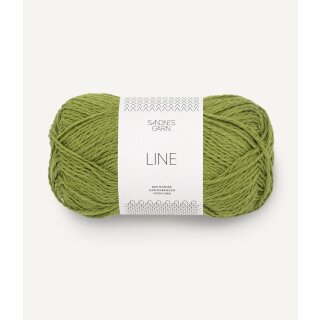 9564 Matcha