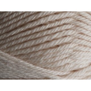 383 Champagne (neu)