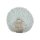 708 Glacial Air neu