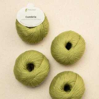 327 Kiwi